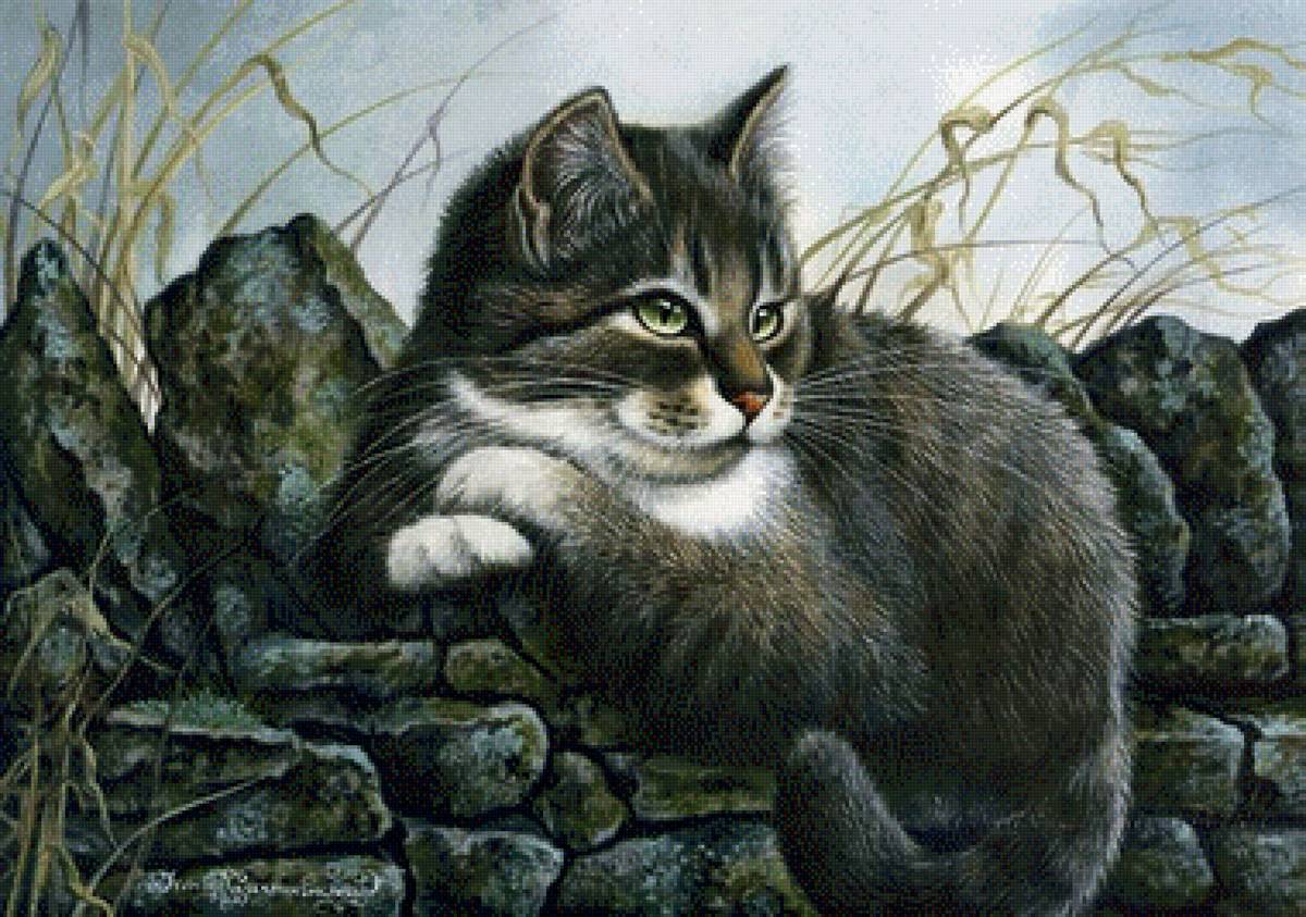 Котик - котик - предпросмотр