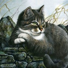 Схема вышивки «Котик»