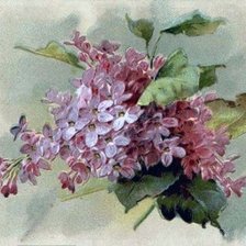 Схема вышивки «Сирень»