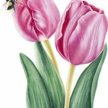 Схема вышивки «№2660569»