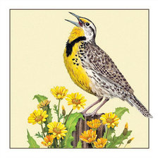 Схема вышивки «Bird»