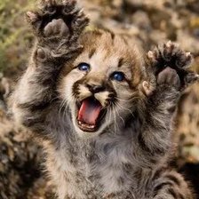 Схема вышивки «№2660936»