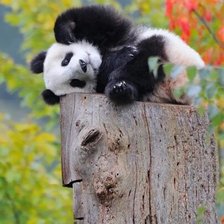 Схема вышивки «№2660956»