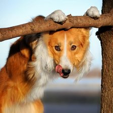 Схема вышивки «№2660973»