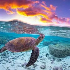 Схема вышивки «№2661040»