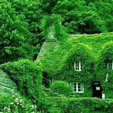 Схема вышивки «№2661041»