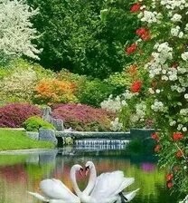 Схема вышивки «№2661343»