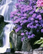 Схема вышивки «№2661401»