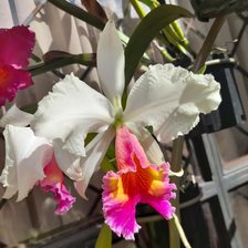 Схема вышивки «№2661410»