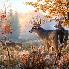 Схема вышивки «№2661488»