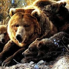 Схема вышивки «№2661489»