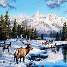 Схема вышивки «№2661522»