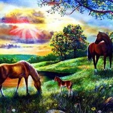 Схема вышивки «№2661562»