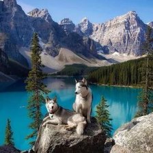 Схема вышивки «№2661563»