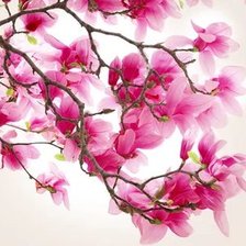 Схема вышивки «№2661778»