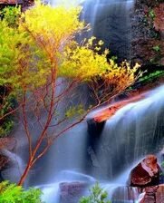 Схема вышивки «№2661812»