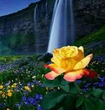 Схема вышивки «№2661819»