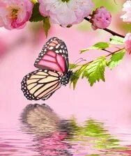 Схема вышивки «№2661864»