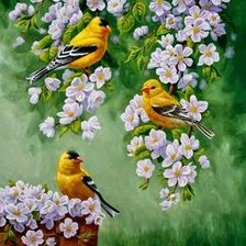 Схема вышивки «№2661868»