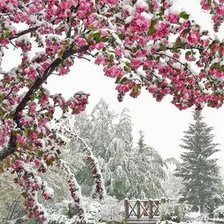 Схема вышивки «№2661874»