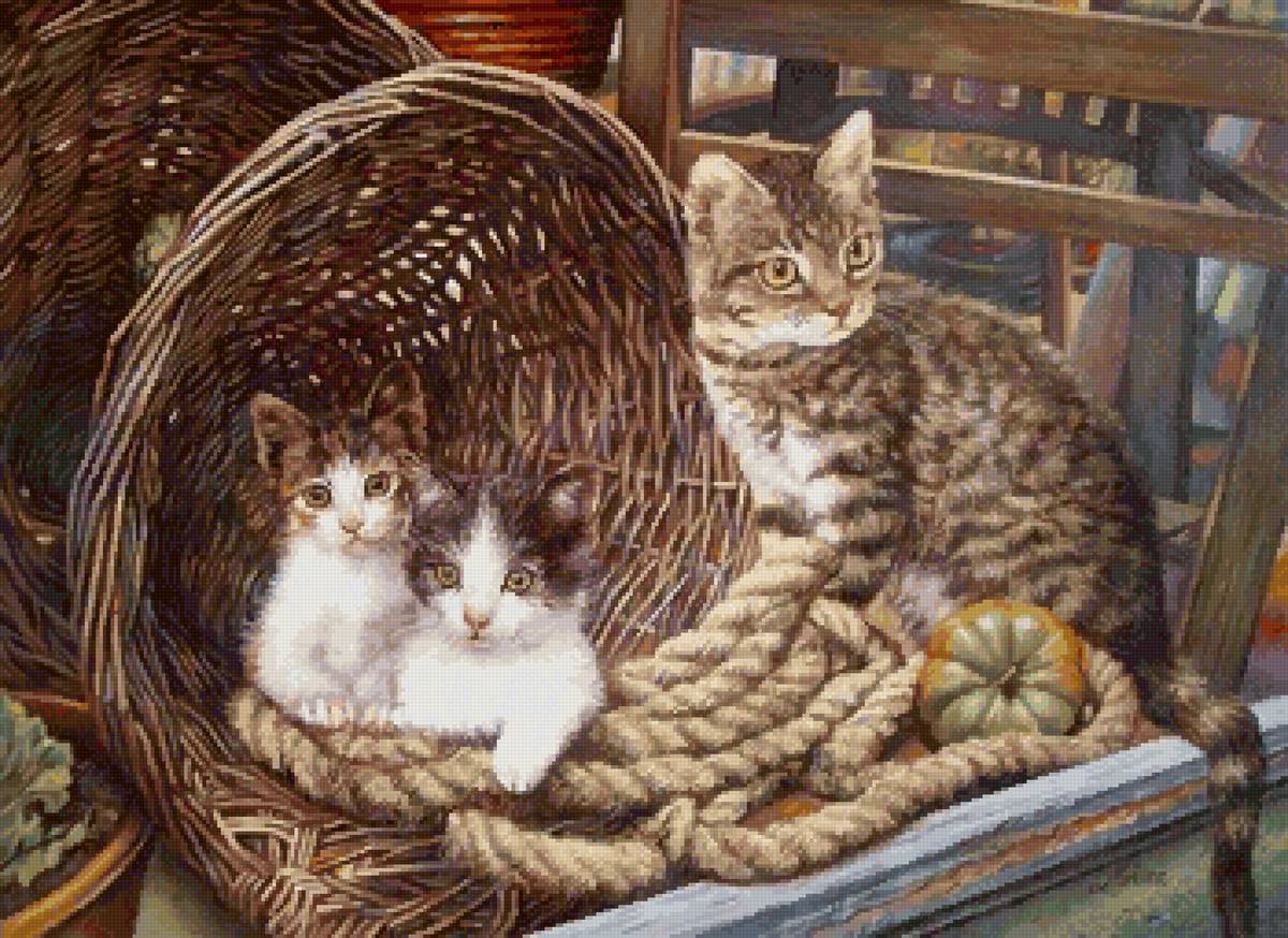 Деревенские котики - италия, коты - предпросмотр