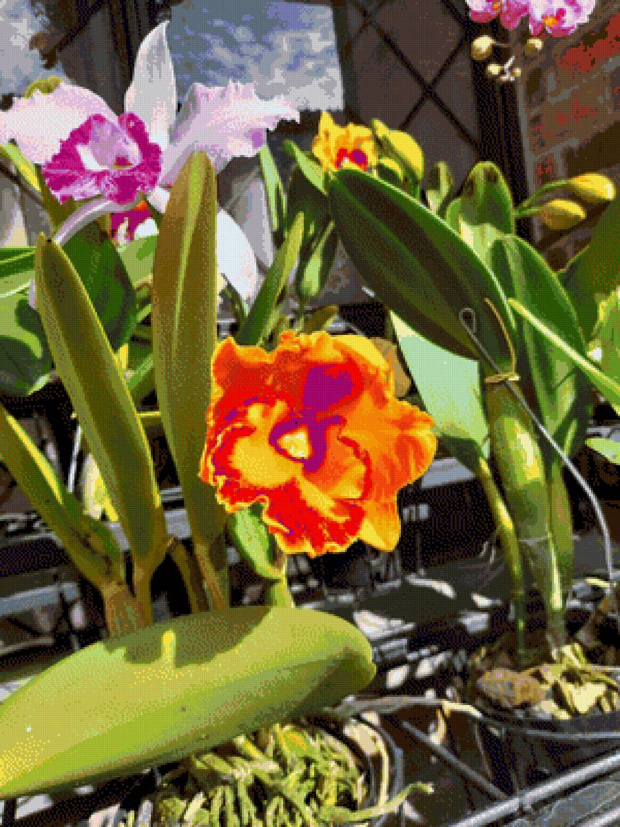 №2662595 - предпросмотр