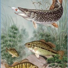 Схема вышивки «щука и окуни»