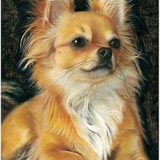 Схема вышивки «Рози чихуа хуа»