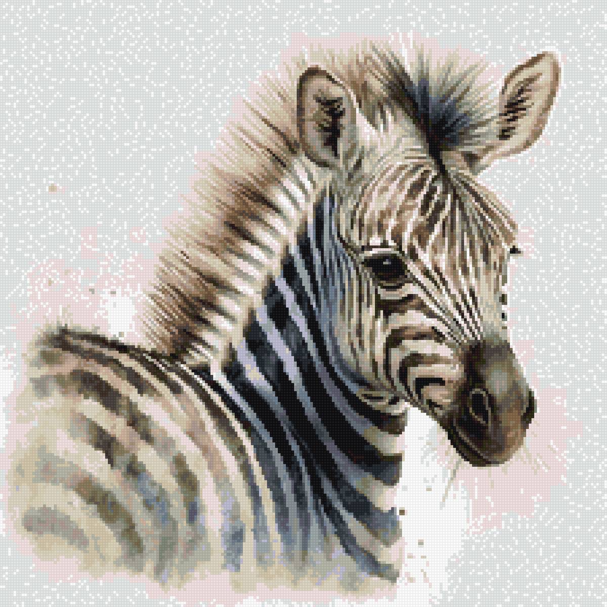 зебра - предпросмотр