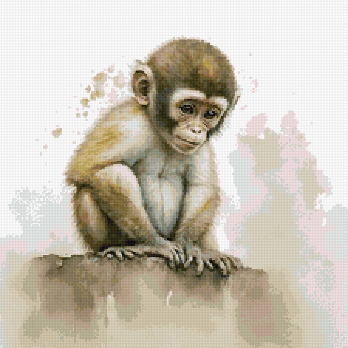 обезьянка - предпросмотр