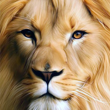 Схема вышивки «лев»