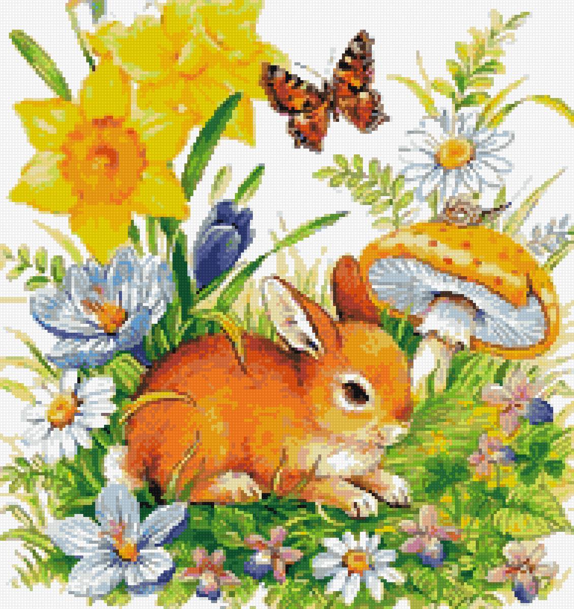 зайка - предпросмотр