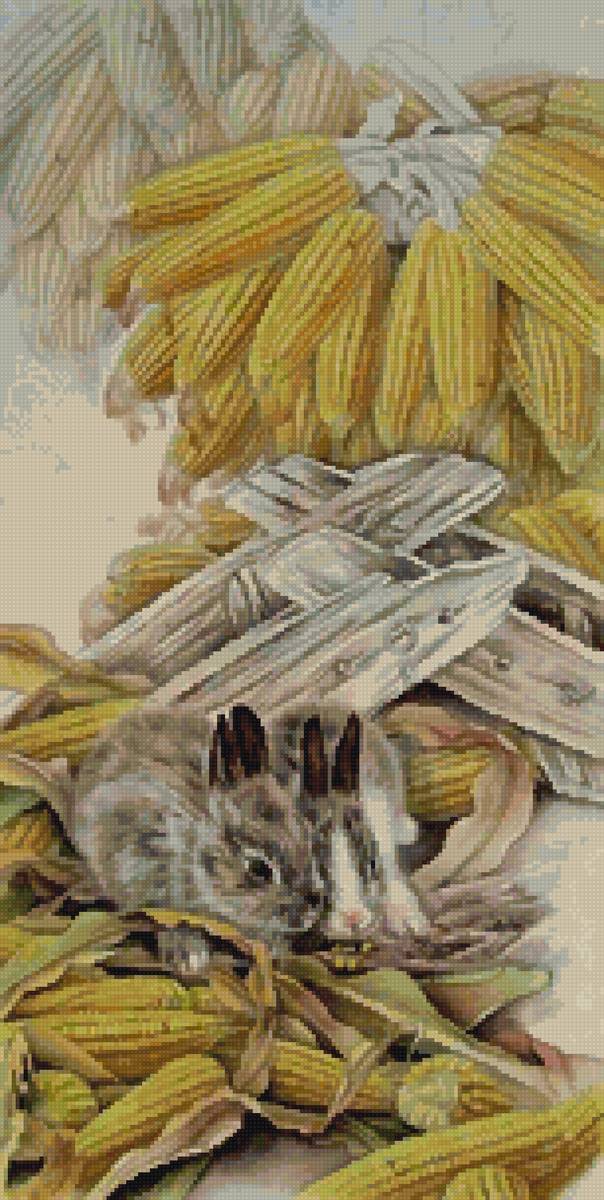 вставка зайки - предпросмотр