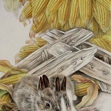 вставка зайки