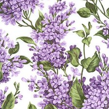 Схема вышивки «Сирень»