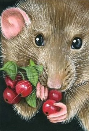 крыска - оригинал