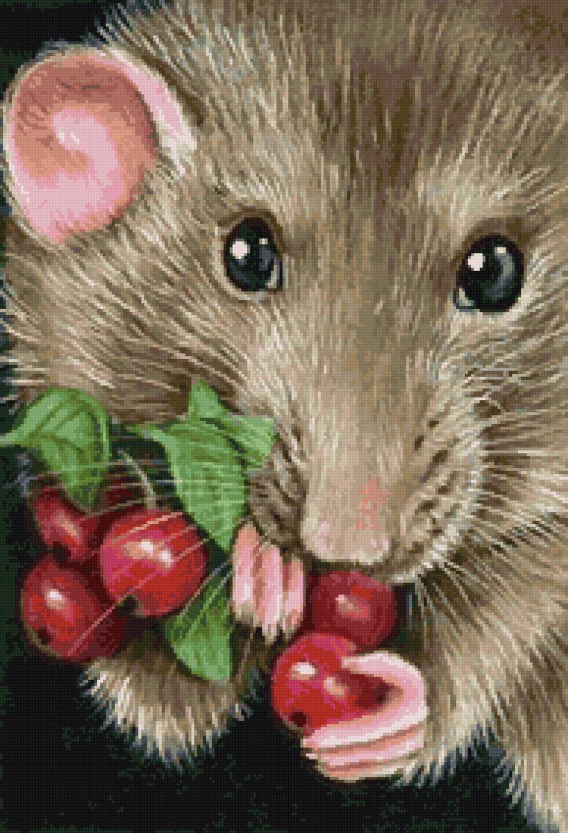 крыска - предпросмотр