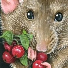 Схема вышивки «крыска»