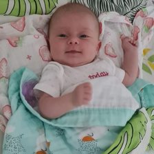 Схема вышивки «Алиса»