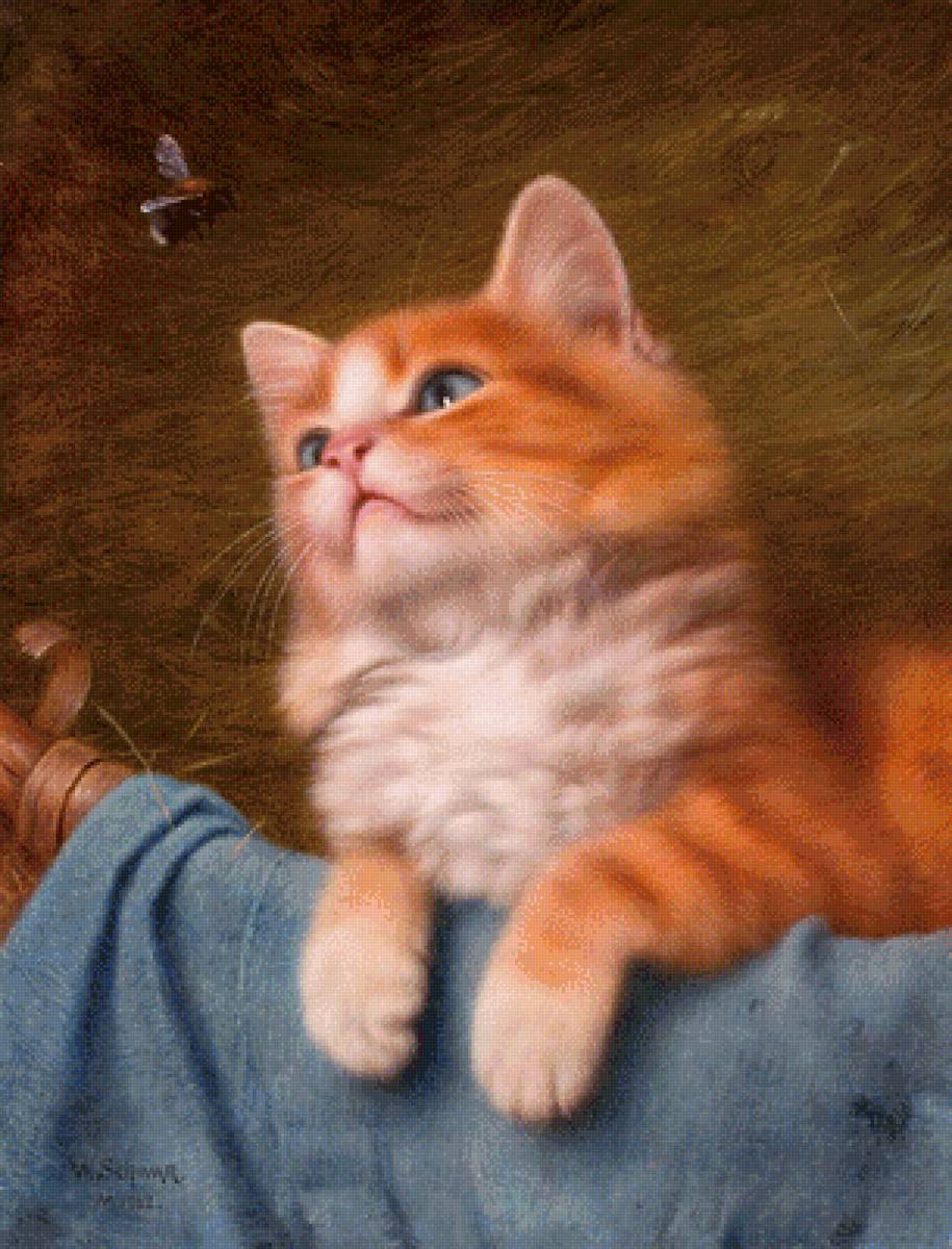 Кот и пчела - кот и пчела - предпросмотр