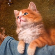 Кот и пчела