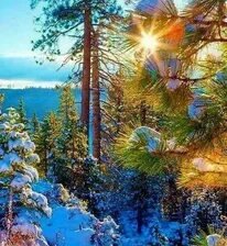 Схема вышивки «№2663955»