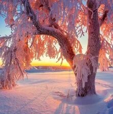 Схема вышивки «№2663963»