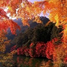 Схема вышивки «№2663970»