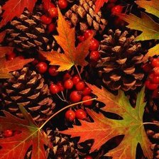 Схема вышивки «№2663971»