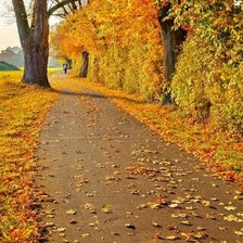 Схема вышивки «№2663973»