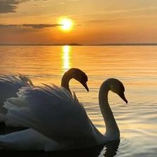 Схема вышивки «№2663979»