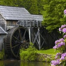 Схема вышивки «№2664074»