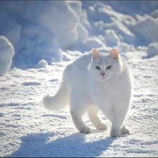 Схема вышивки «Котэ в снегу»