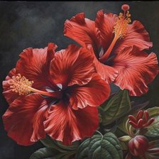 Схема вышивки «№2664138»